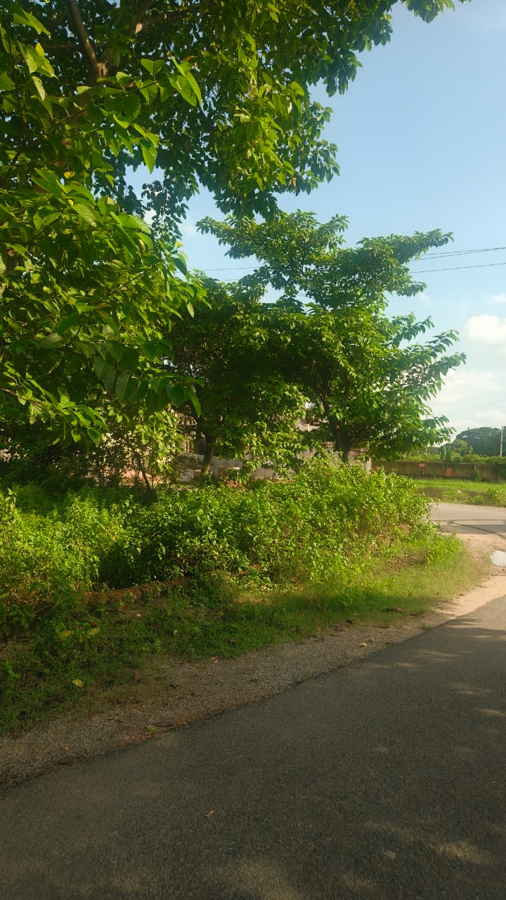 Connecting Area